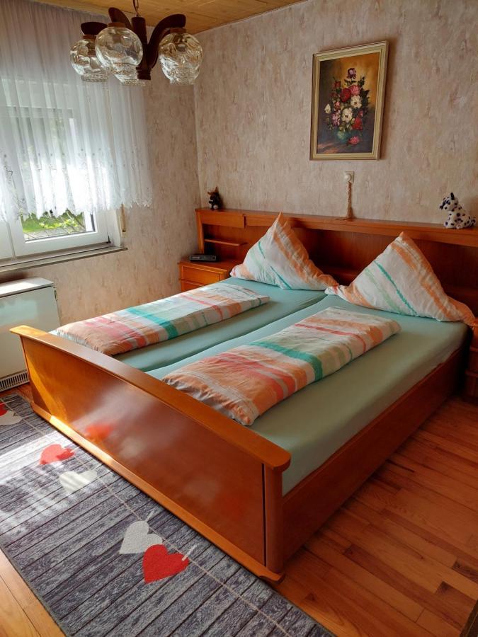 Urige Gemuetliche Ferienwohnung 64 M2 In Dielheim, Naehe Heidelberg 外观 照片