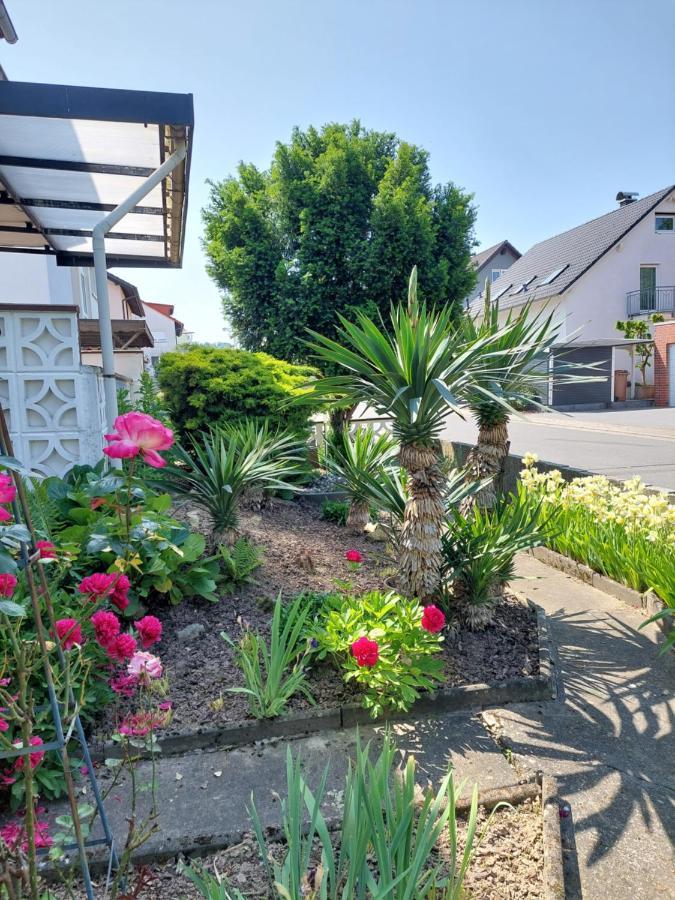 Urige Gemuetliche Ferienwohnung 64 M2 In Dielheim, Naehe Heidelberg 外观 照片